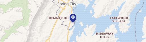 207 Dogwood Ln, Spring City, TN 37381