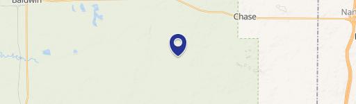 40-Acre Hunting Land with Pond