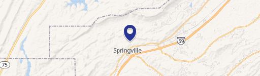 325 MCGINNIS STREET #LOT, SPRINGVILLE, AL 35146