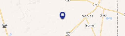 TBD CR 4304 (Ranes Rd), Naples, TX 75568