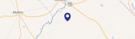 3-9 Creek Landing Road, Nichols, SC 29581