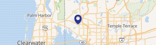8004 BAY, Tampa, FL 33635