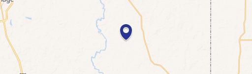 Established Pine Tree Farm