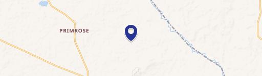 Heavily Treed Country Acreage
