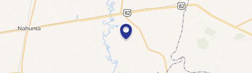 Waynesville, GA Cleared Acre Lot