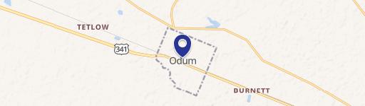 Residential Land in Odum, GA