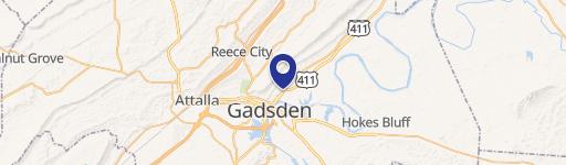 953 Albert Rains Blvd