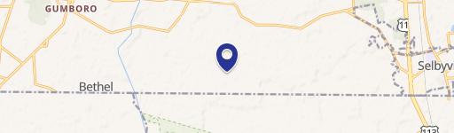 Selbyville, DE 19975