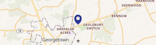 22251 Lewes Georgetown Hwy