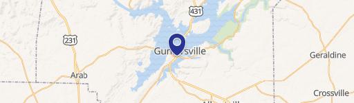 Guntersville, AL 35976