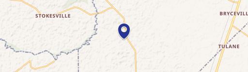 1906 Brandy Br Church Pl