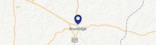 Brundidge, AL 36010