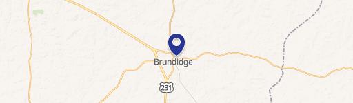 Brundidge, AL 36010