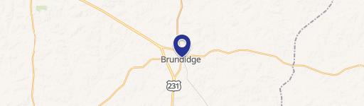 Brundidge, AL 36010