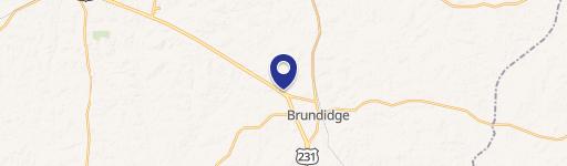 Brundidge, AL 36010