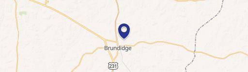 Brundidge, AL 36010
