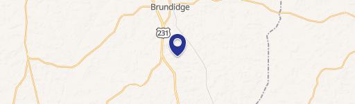 Brundidge, AL 36010