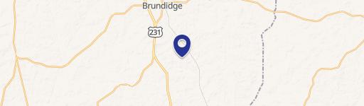 Brundidge, AL 36010