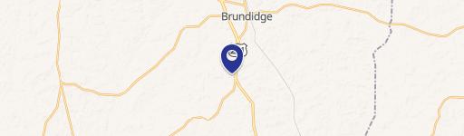 Brundidge, AL 36010