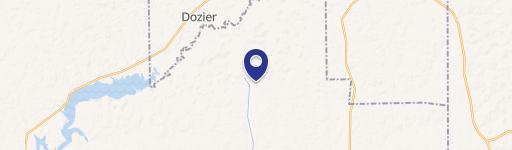 Dozier, AL 36028