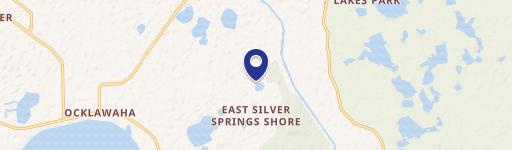 Ocklawaha, FL 32179