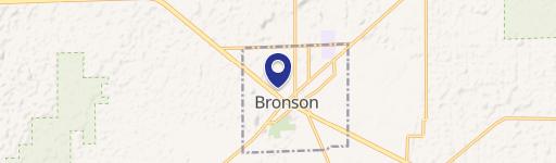 Bronson, FL 32621