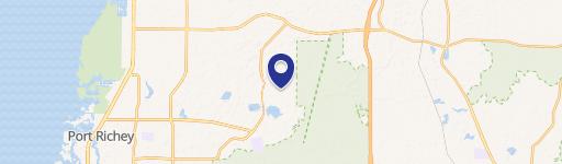 Four Lots in New Port Richey