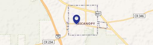 Micanopy, FL 32667