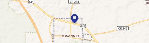 Micanopy, FL 32667