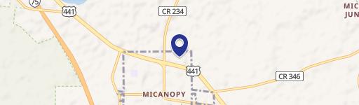 Micanopy, FL 32667