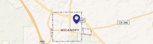 Micanopy, FL 32667