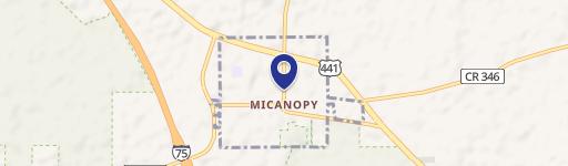 Micanopy, FL 32667
