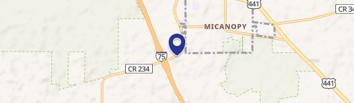 Micanopy, FL 32667