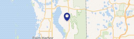 Residential Land in Lansbrook Community