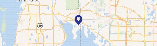 Untouched Land in Oldsmar, FL