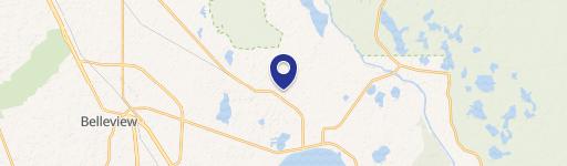 Wooded Lot Near Silver Springs