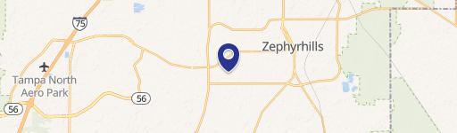 Zephyrhills, FL 33541