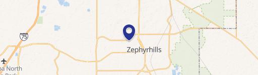 Zephyrhills, FL 33542