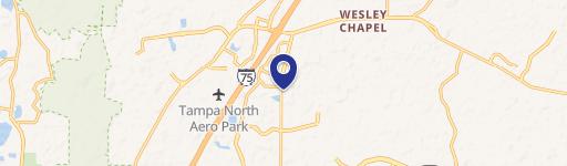 Wesley Chapel, FL 33543