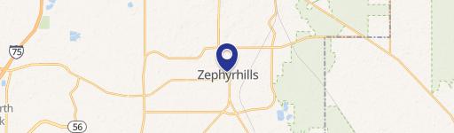 Zephyrhills, FL 33542