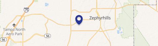 Zephyrhills, FL 33541