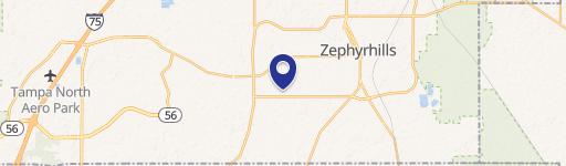 Zephyrhills, FL 33541