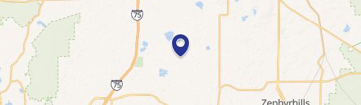 Wesley Chapel, FL 33545