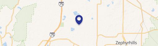 Wesley Chapel, FL 33545