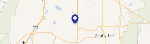 Wesley Chapel, FL 33545