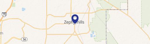 Zephyrhills, FL 33542
