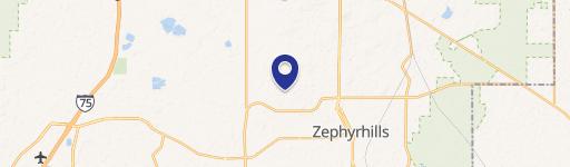 Zephyrhills, FL 33541
