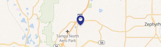 Wesley Chapel, FL 33543