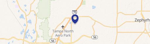 Wesley Chapel, FL 33543