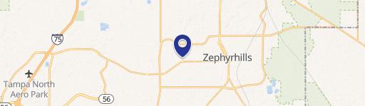 Zephyrhills, FL 33541